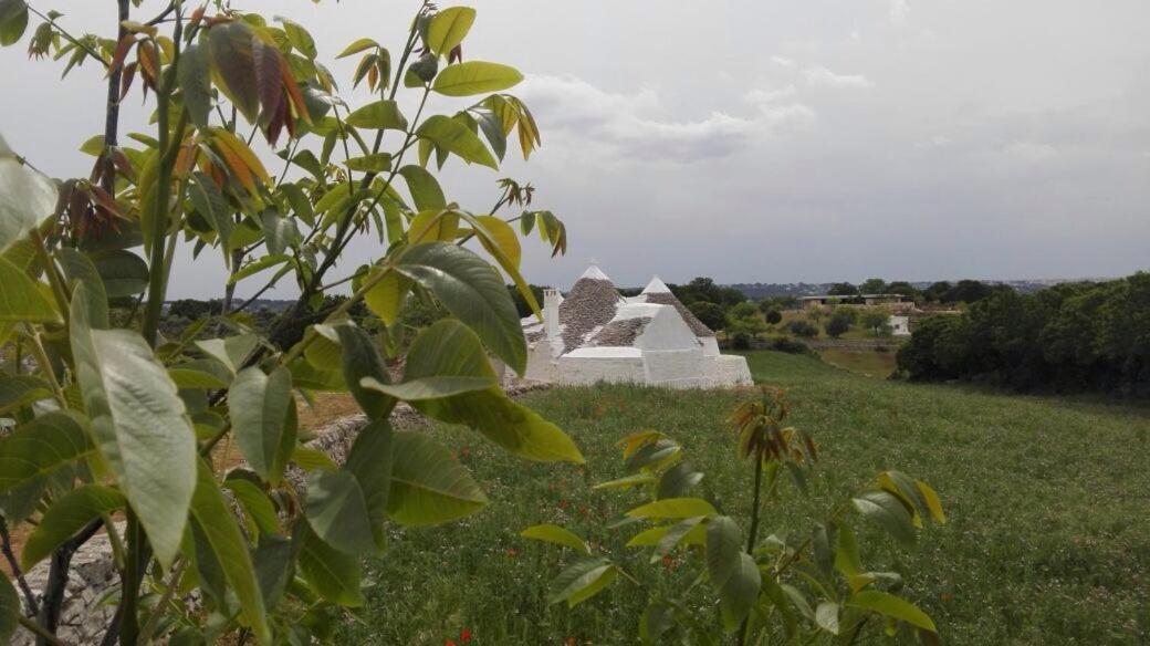 Borgo Trulli 1789 Bed & Breakfast ออสตูนี ภายนอก รูปภาพ