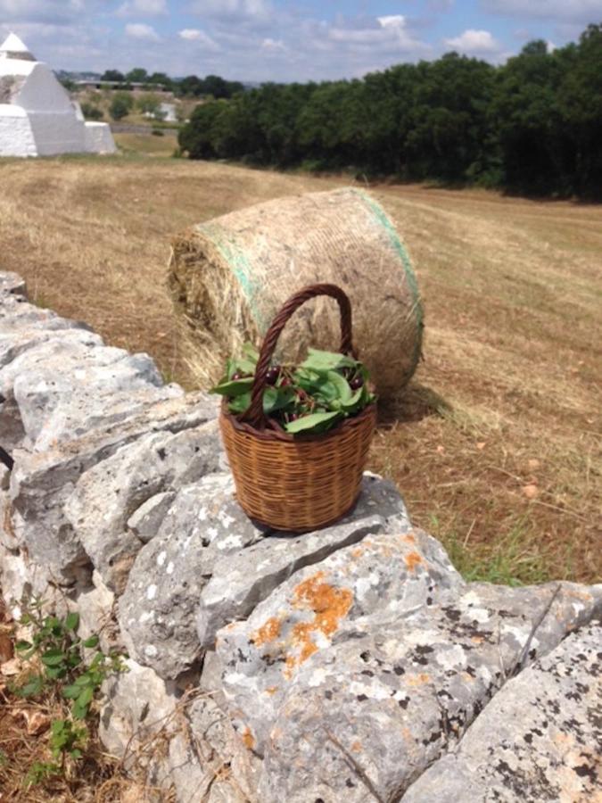 Borgo Trulli 1789 Bed & Breakfast ออสตูนี ภายนอก รูปภาพ