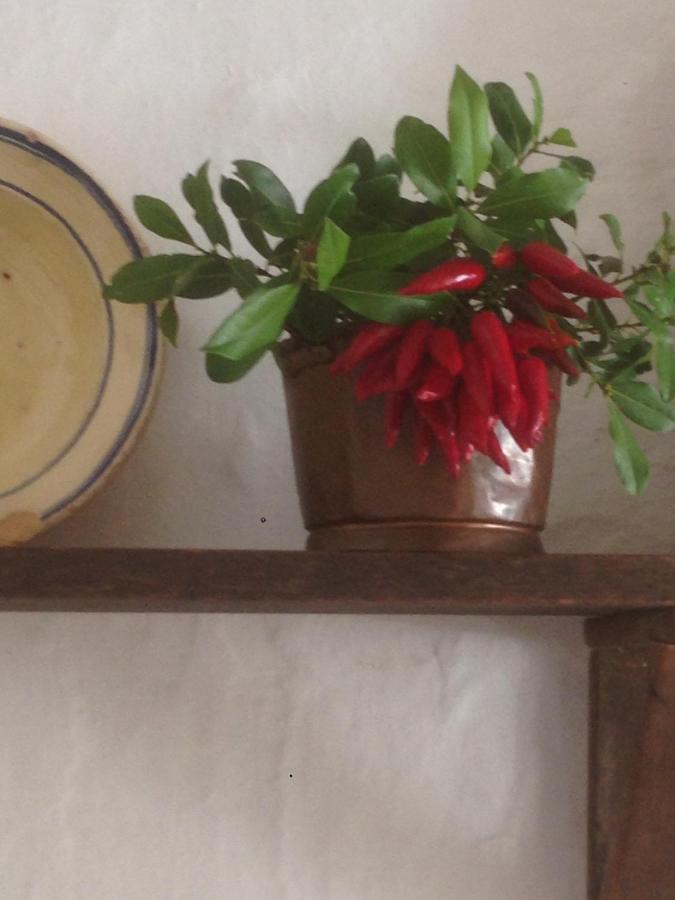 Borgo Trulli 1789 Bed & Breakfast ออสตูนี ภายนอก รูปภาพ