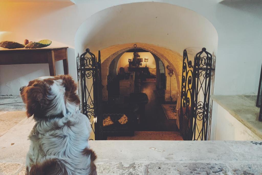 Borgo Trulli 1789 Bed & Breakfast ออสตูนี ภายนอก รูปภาพ